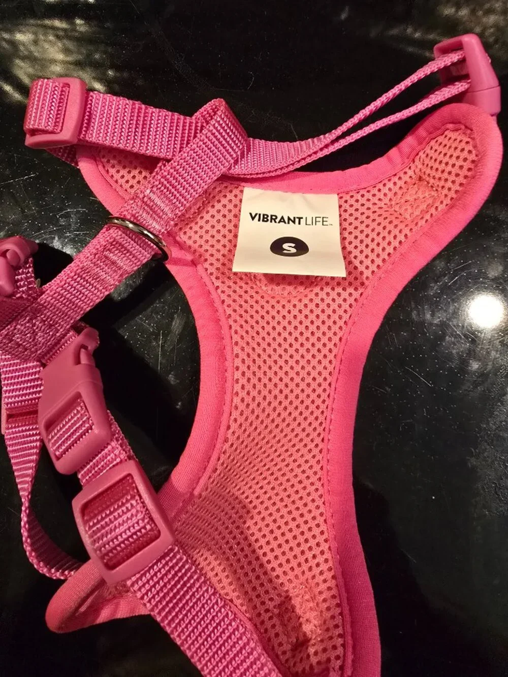 Pink Small Dog Harness Vibrant Life Dog Leash Sassy Woof NEW